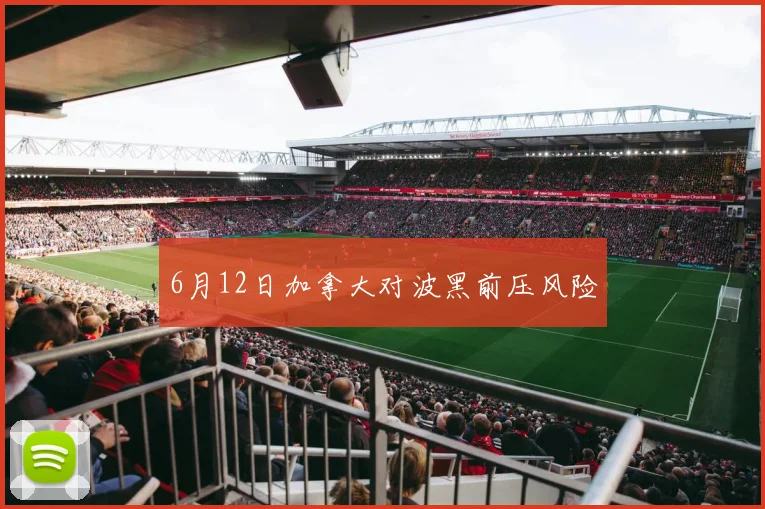 6月12日加拿大对波黑前压风险