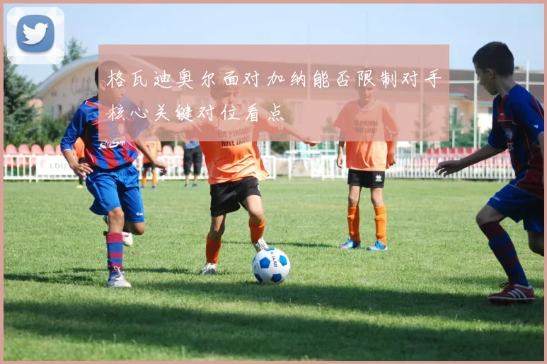 格瓦迪奥尔面对加纳能否限制对手核心关键对位看点